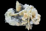 Blue, Bladed Barite Crystal Cluster - Morocco #103388-1